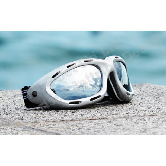 Classic Silver Frame/Smoke Lens Goggles PWC Eyewear